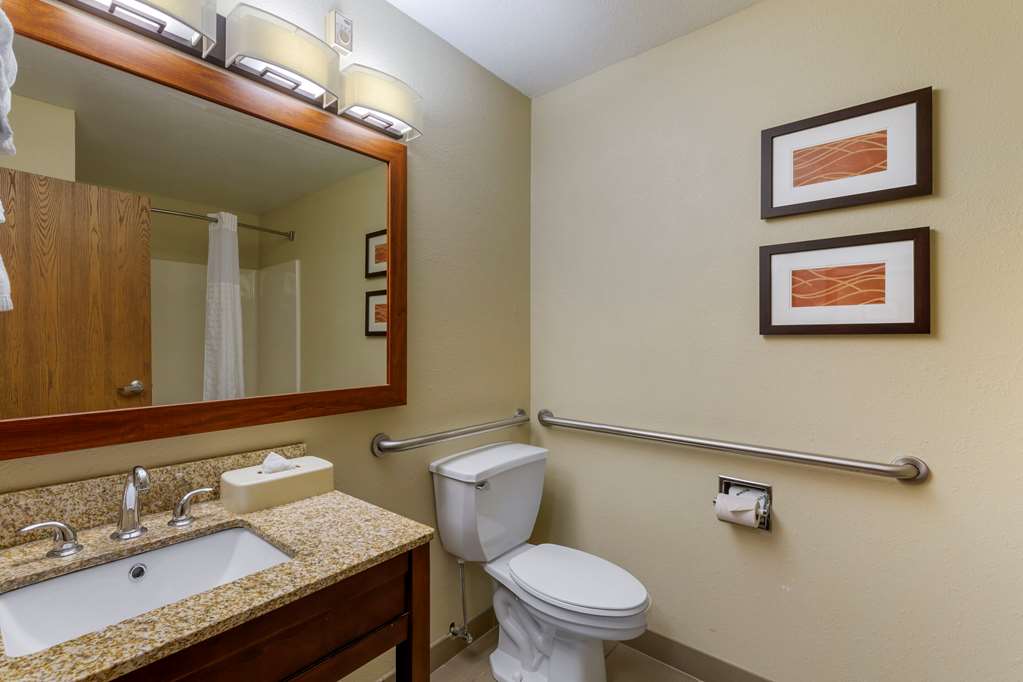 Comfort Inn River's Edge - photo 14