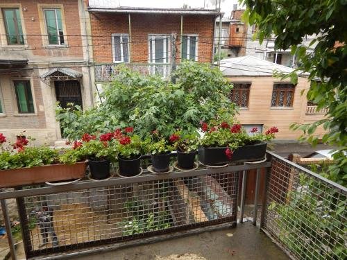 Guest House Veneto