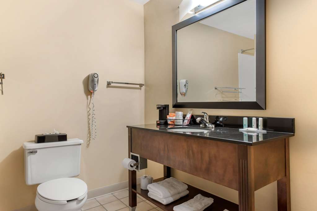 Quality Inn & Suites Lebanon I 65 - photo 15