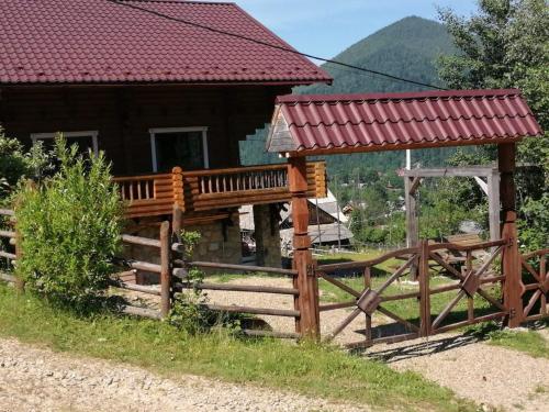 Vidal in Vorokhta, Ukraine