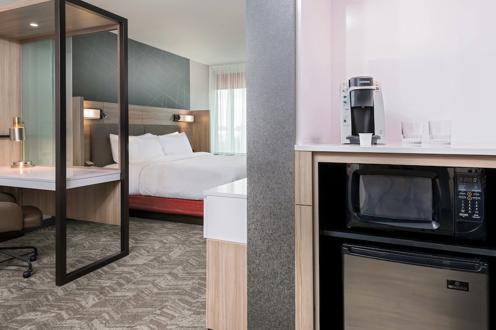 SpringHill Suites by Marriott Lakeland - photo 12