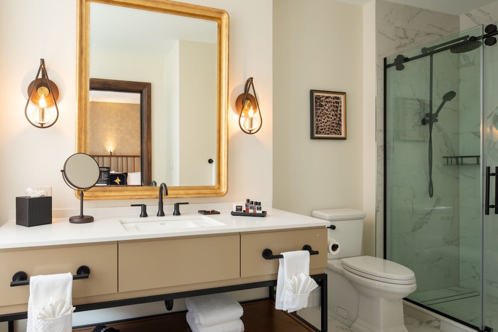 The Peregrine Omaha Downtown Curio Collection by Hilton - photo 44
