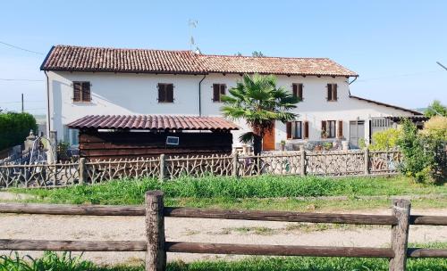 La vigna in Unknown City, Italy