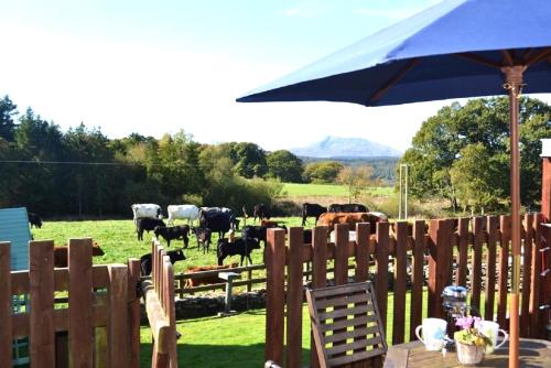 Siabod Betws y Coed Snowdonia 2 en suite bedrooms — 5-Star Luxury Hotel in Betws-Y-Coed, United Kingdom