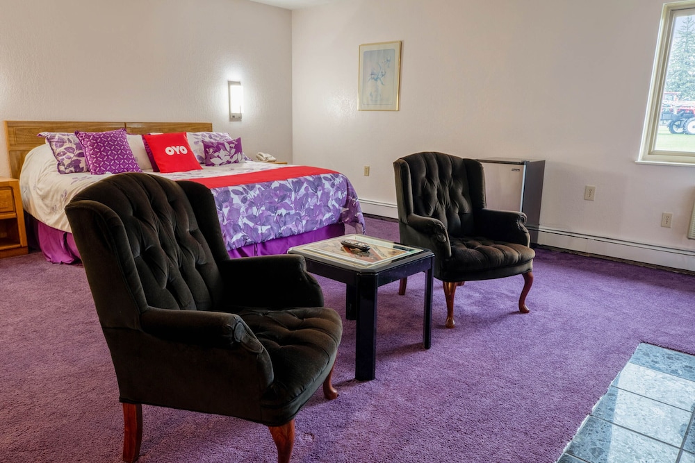 OYO Hotel Chesaning Route 52 & Hwy 57 - photo 20
