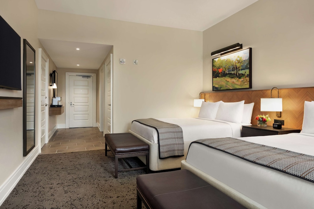 The Harpeth Franklin Downtown Curio Collection by Hilton - photo 37
