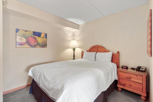 Beaver Run Resort Unit 4707 by RedAwning - photo 27