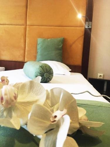 Rody - carbon neutral hotel in Silistra