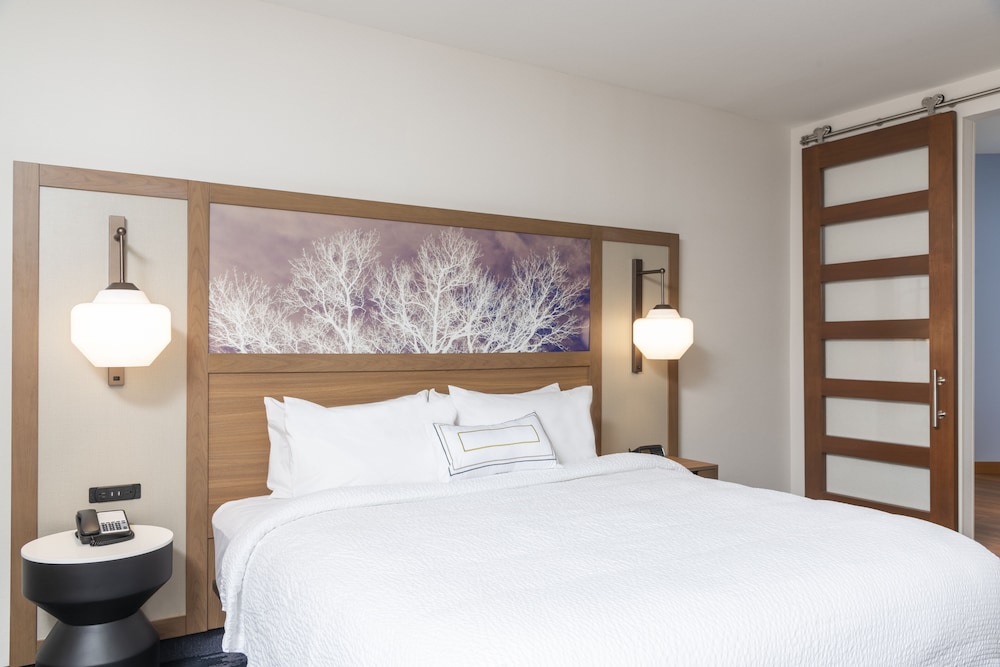 Fairfield Inn & Suites by Marriott Fair Oaks Farms - photo 33
