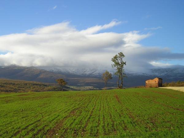 Molino De La Ferrería — Riaza — photo 5