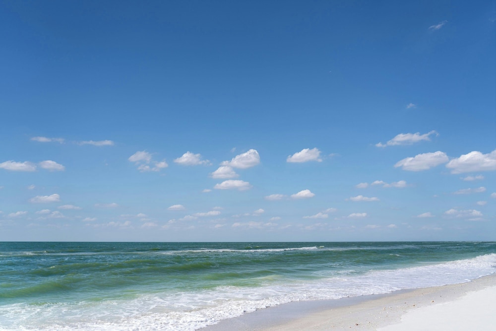 The Ritz Carlton Sarasota - photo 150