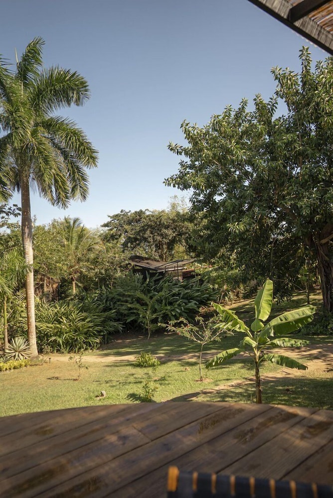 Finca Victoria - photo 104