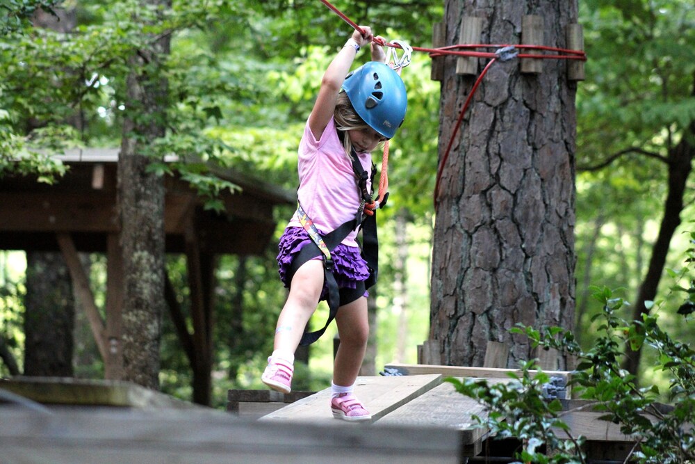 Callaway Gardens' Mountain Creek Inn - photo 47