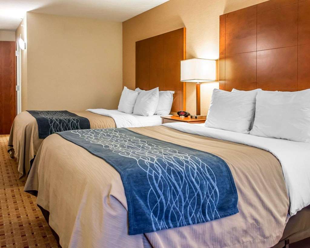 Comfort Inn & Suites Franklin East - photo 10