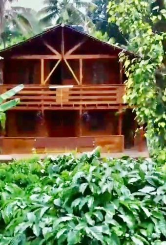 Coorg Northbreeze Wooden Stay in Madikeri, India