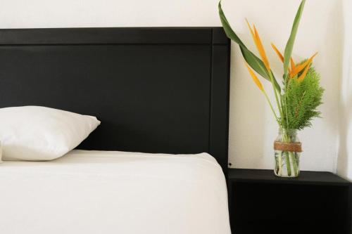 Double room for a Couple in Puerto Escondido, Mexico