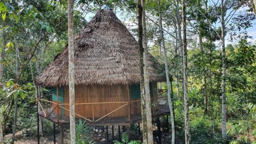Amaca Eco Station in Iquitos, Peru