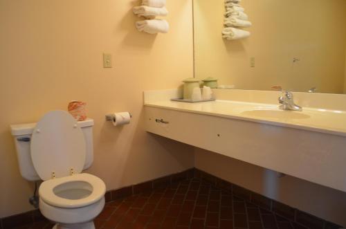 Ouachita Mountain Inn - photo 8