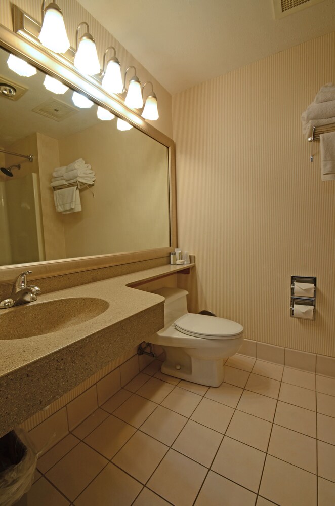 English Inn Of Charlottesville - photo 18