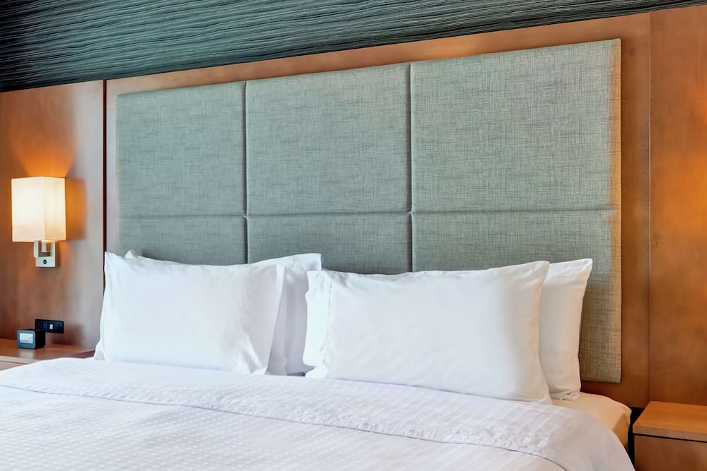 Homewood Suites by Hilton TechRidge Parmer @ I 35 - photo 9