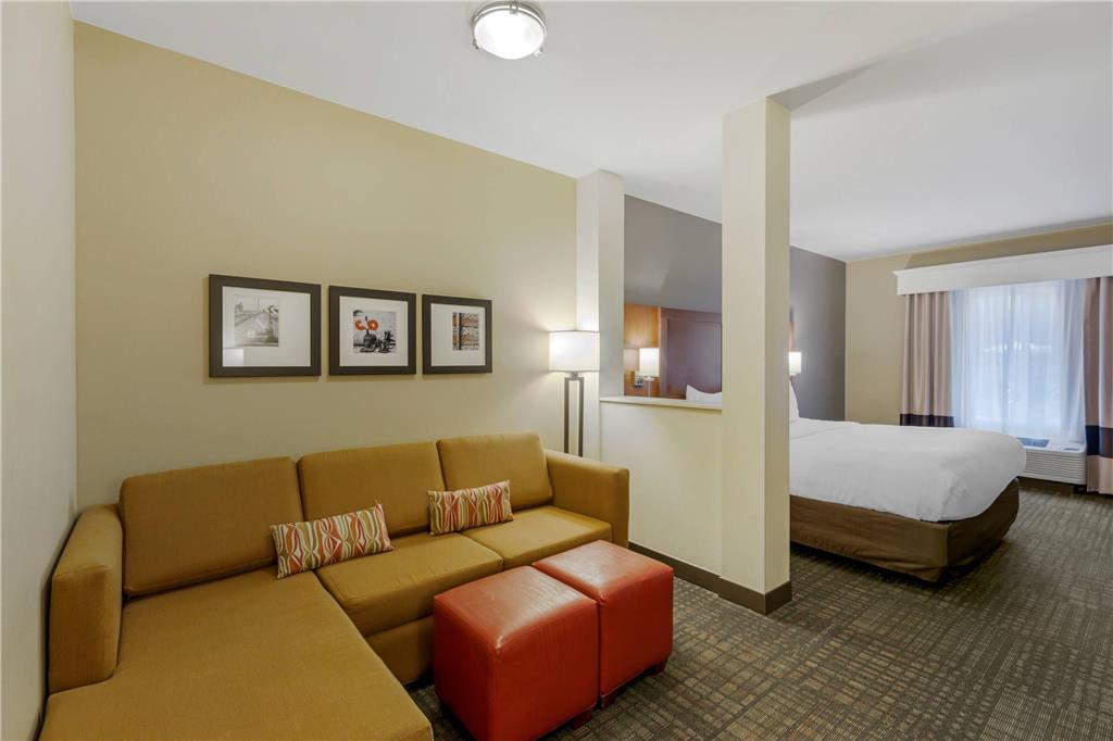 Comfort Suites Loveland - photo 18