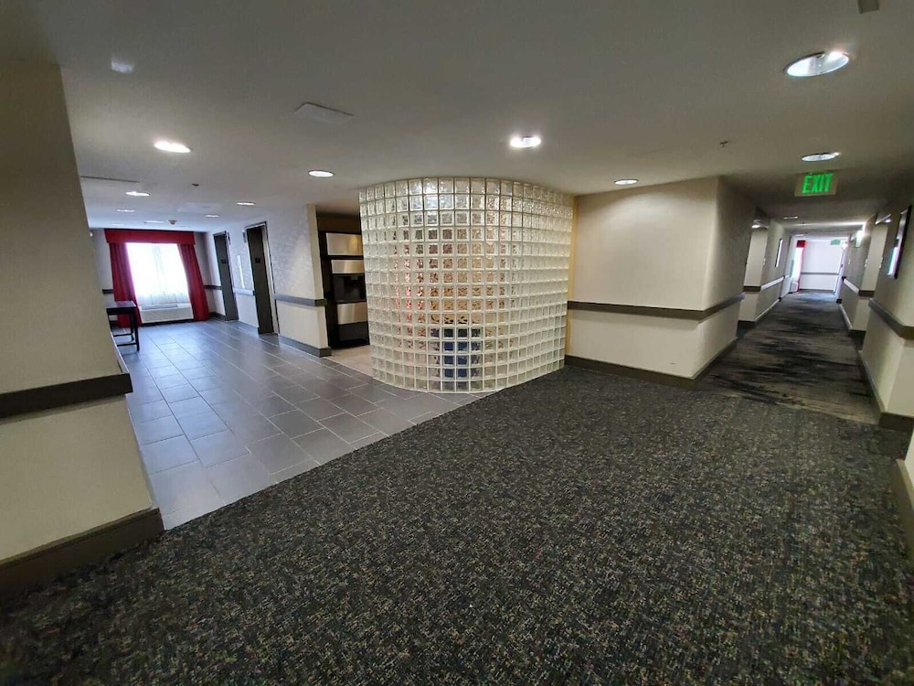 Sleep Inn & Suites BWI Airport - photo 50