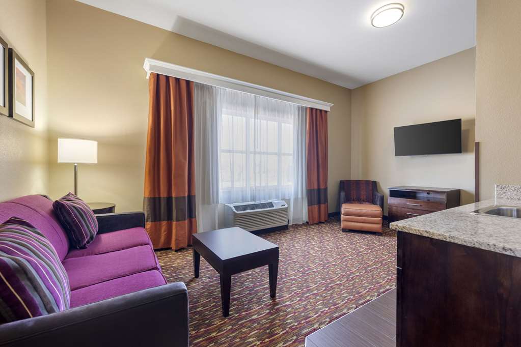 Comfort Inn & Suites West Artesia - photo 21