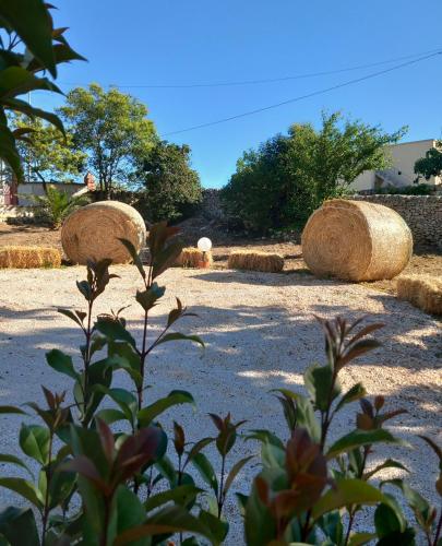 Il trullo della nonna in Martina Franca, Italy