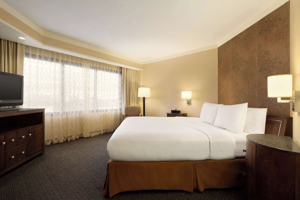 Embassy Suites by Hilton Austin Downtown South Congress - photo 43