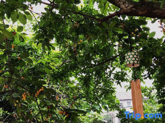 Ruguli Inn - last minute hotel in Yichang
