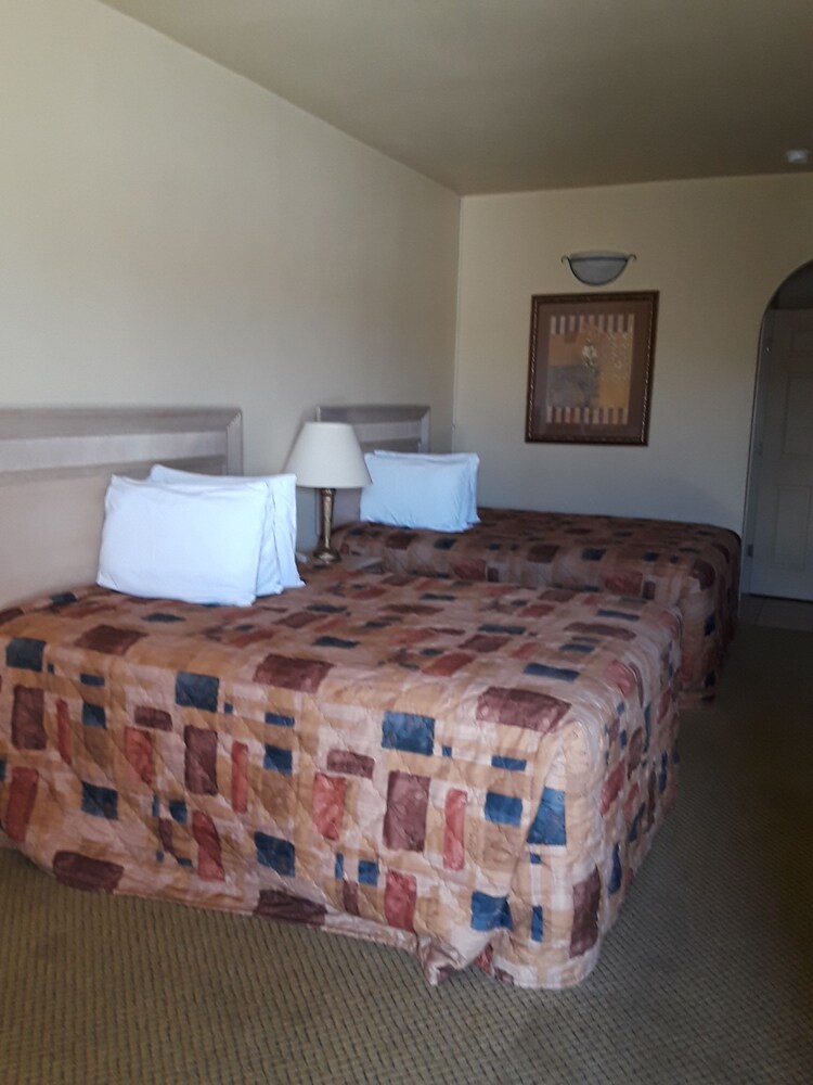 Sunbridge Inn & Suites - photo 11