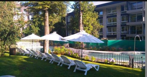 Paillahue Pucon in Pucon, Chile