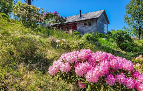 Amazing Home In Jørpeland With Kitchen — 4-Star Luxury Hotel in Jorpeland, Norway