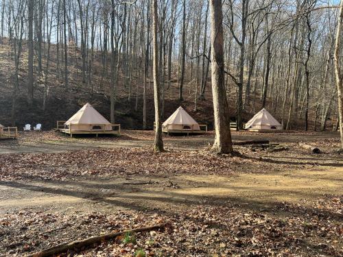 Harmony Tree Resorts - photo 56
