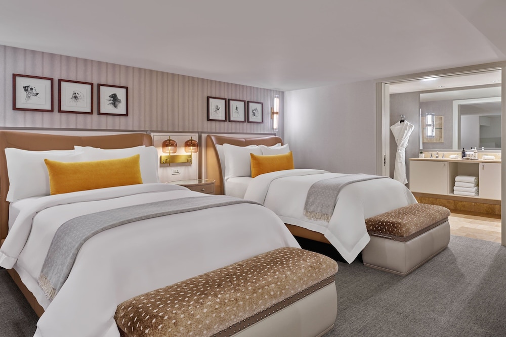 The St. Regis Aspen Resort - photo 44