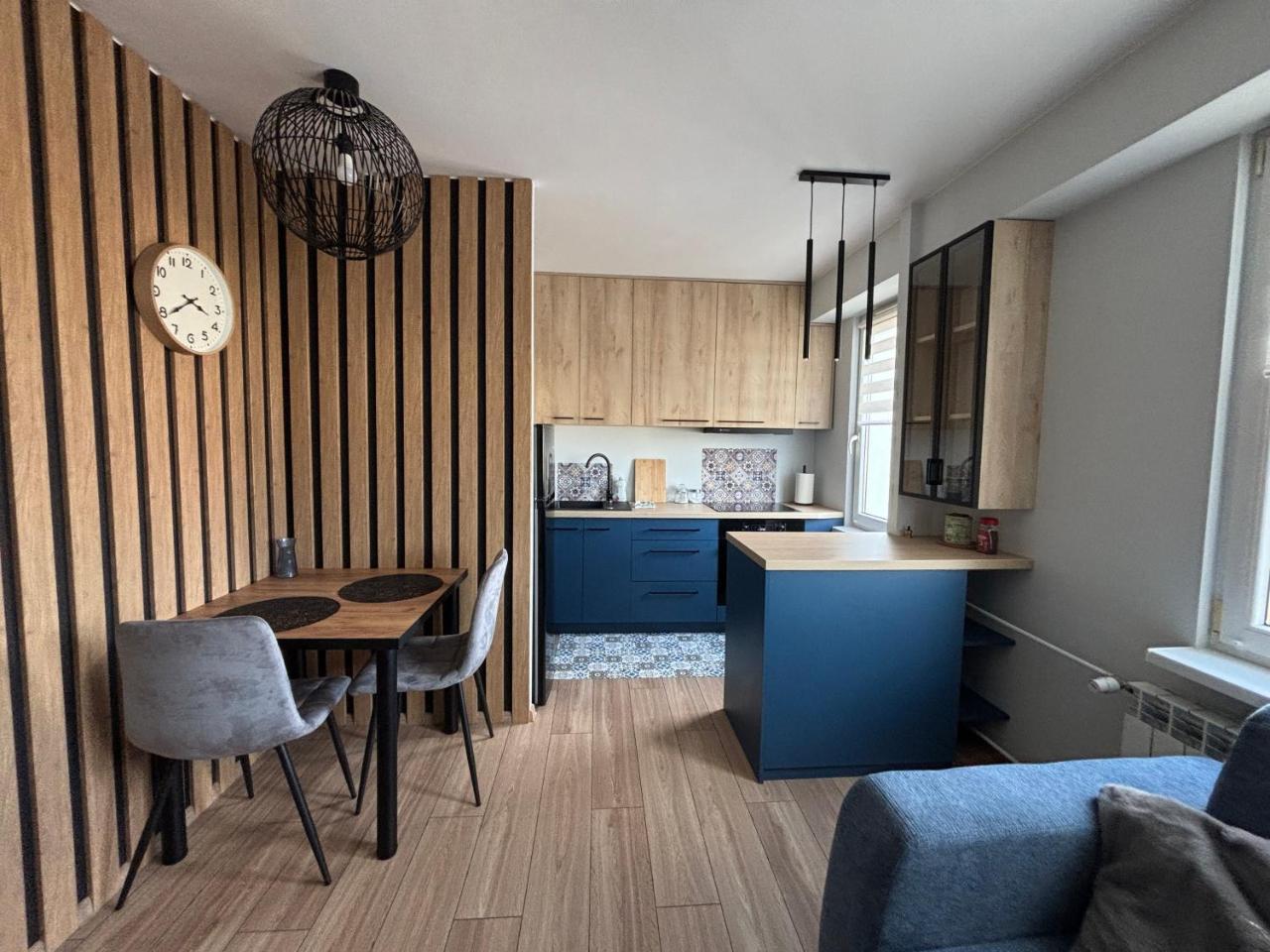 Blue & Wood Studio Fv — hotel in Nowy Sacz
