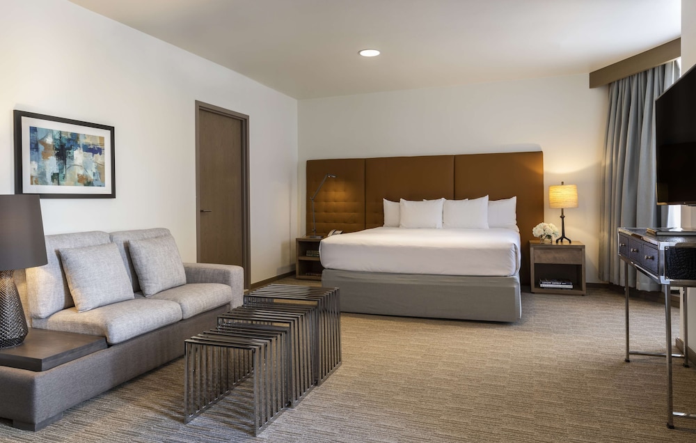 Hyatt Regency Houston Downtown - photo 21