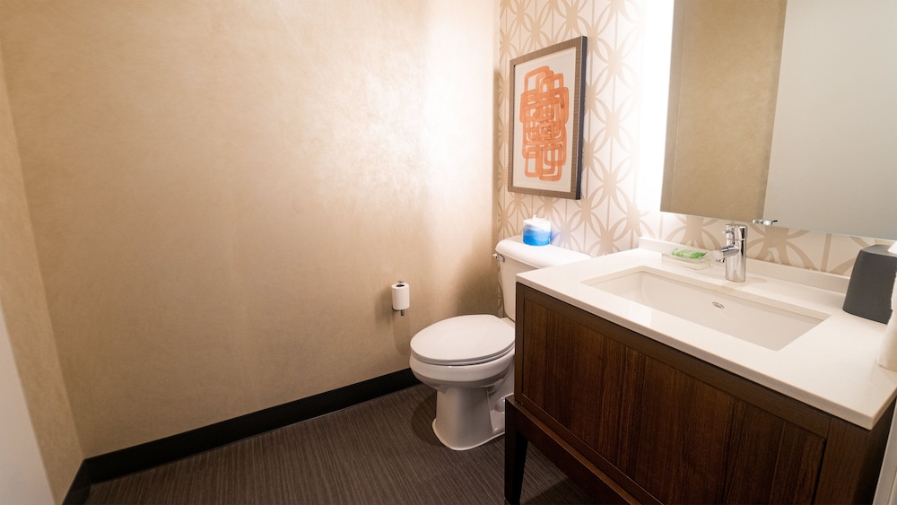 Holiday Inn and Suites Philadelphia W Drexel Hill - photo 51