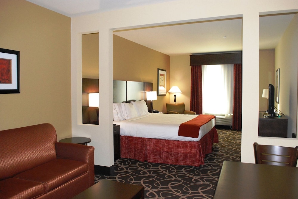 Holiday Inn Express & Suites Houston South near Pearland by IHG - photo 6