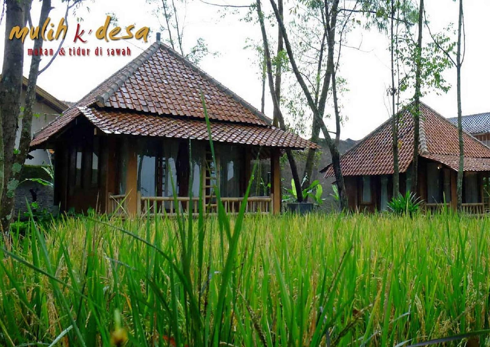 Mulih Ka Desa — Garut — photo 3