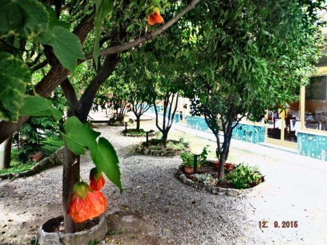 Hotel Villa Flora — Bogliasco — photo 5