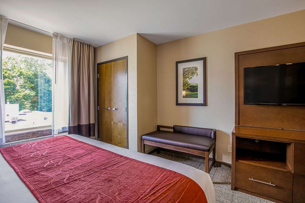 Comfort Suites Fishkill near Interstate 84 - photo 10