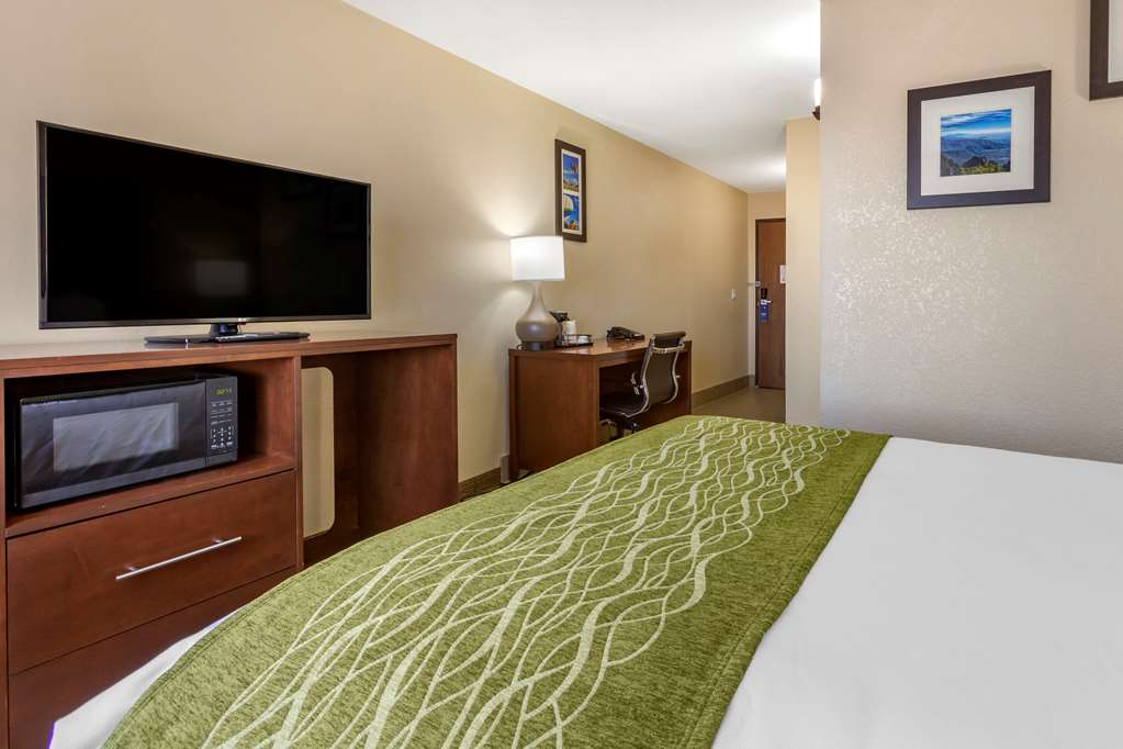 Comfort Inn & Suites Alameda at Albuquerque Balloon Fiesta Park - photo 13