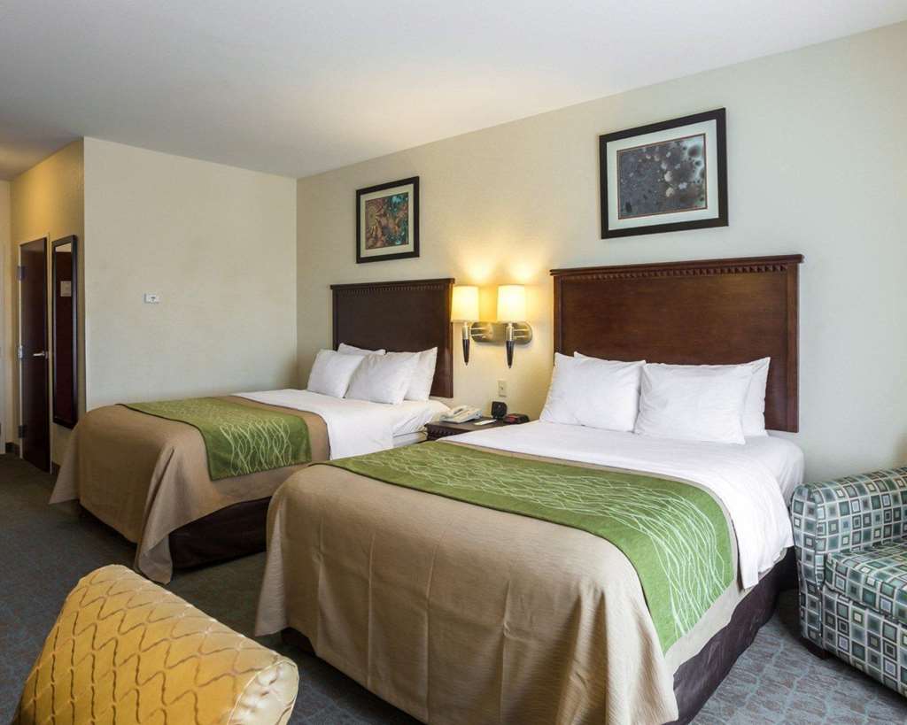 Quality Inn Donaldsonville Gonzales - photo 8