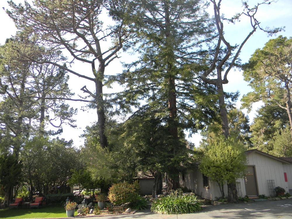 Carmel Resort Inn - photo 103