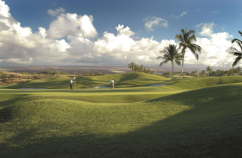Fairmont Orchid - photo 88