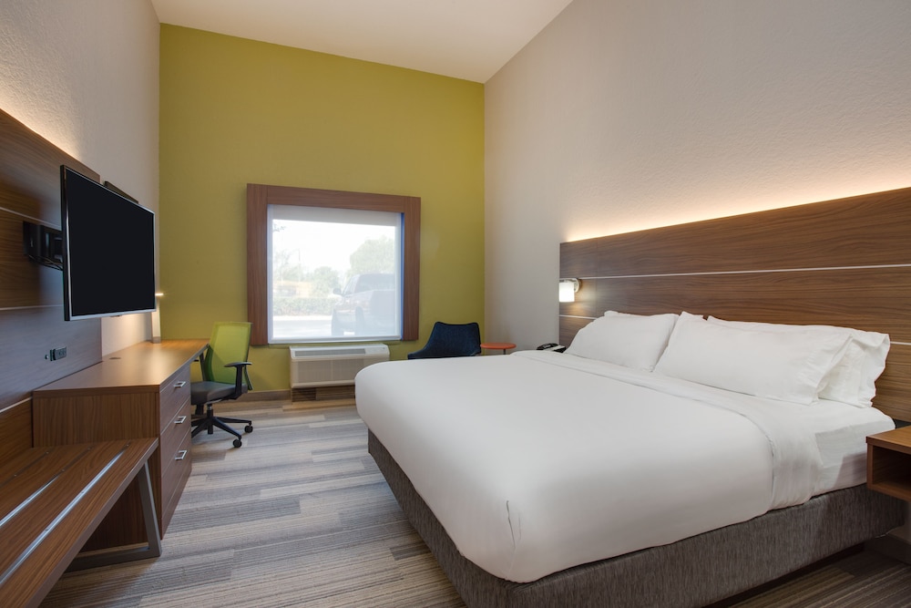 Holiday Inn Express Hotel & Suites Tampa Fairgrounds Casino by IHG - photo 18