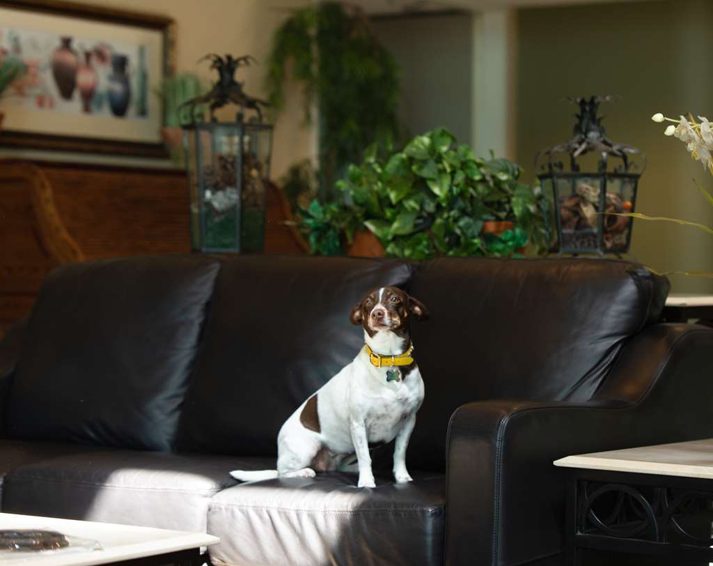 Oxford Suites Yakima - photo 16