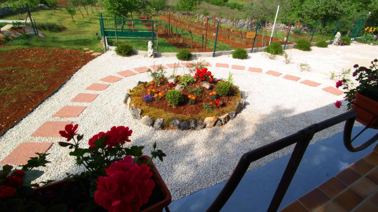 Spignoviza — Kanfanar — photo 2