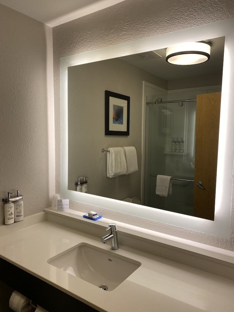 Holiday Inn Express Metropolis - photo 39
